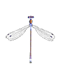 Gemeine Binsenjungfer (Lestes sponsa)
